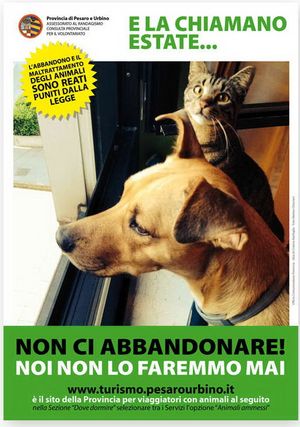 abbandono cani2014