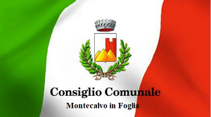 Immagine tricolore consiglio comunale