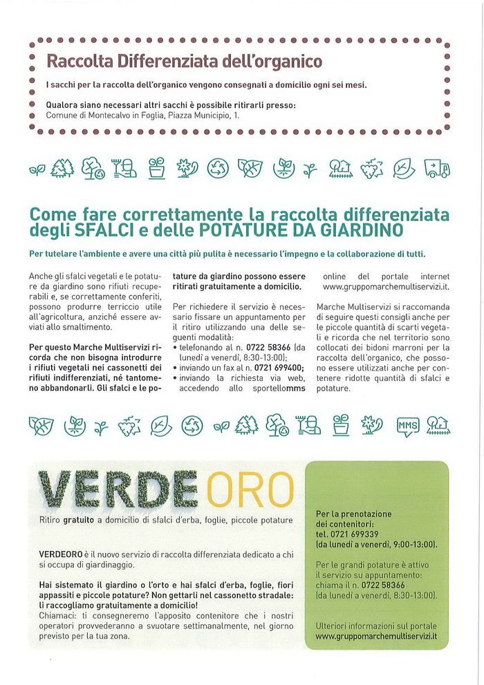 Differenziata organico verde