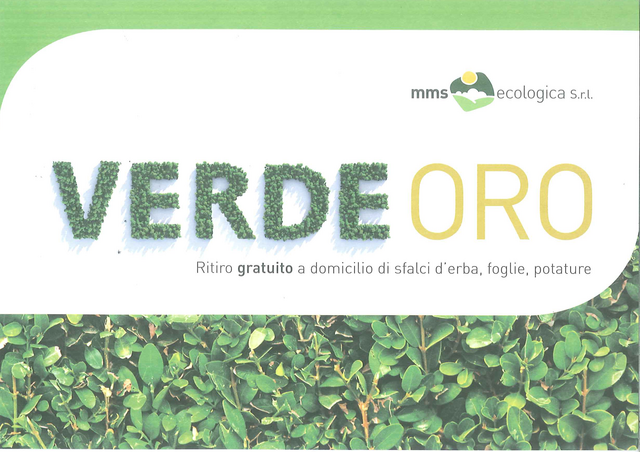 fronte campagna verde oro