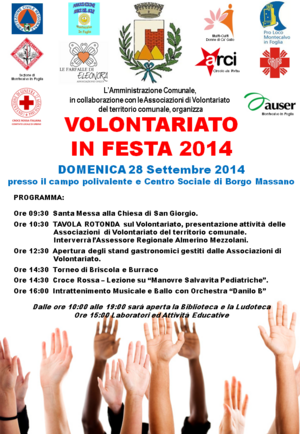 Volantino Festadelvolontariato 2014