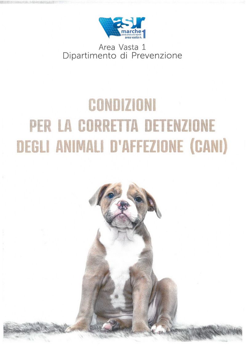 detenzione cani 2019 Pagina cop