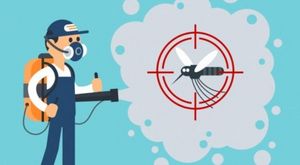 disinfestazione