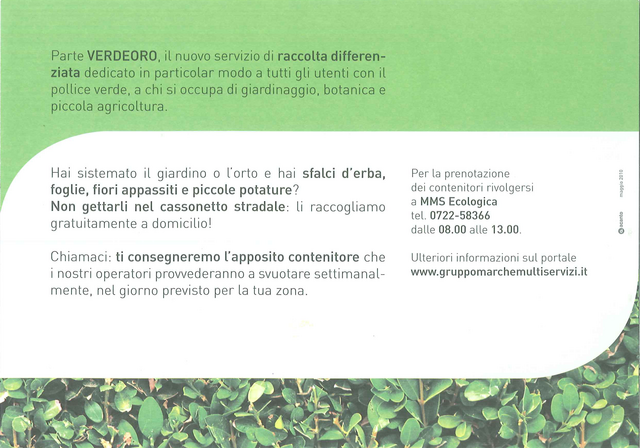 retro campagna verde oro