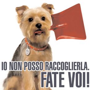 deiezioni canine2