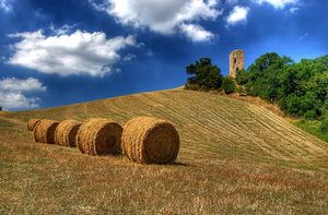 torrecotogna