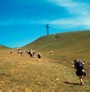 Camminare in Appennino